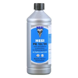 Hesi Pk 13/14